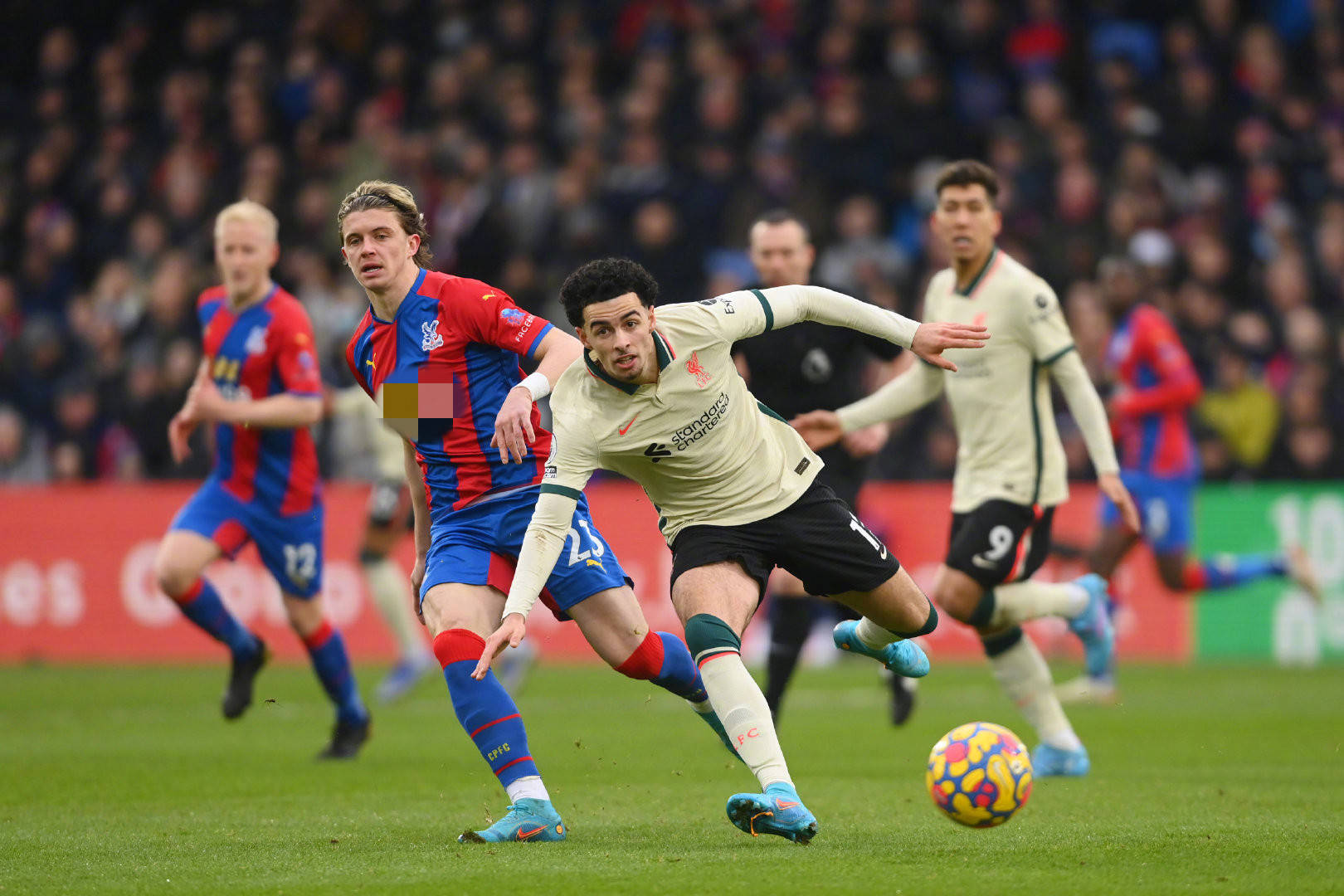 这种灵活的 这种灵活的